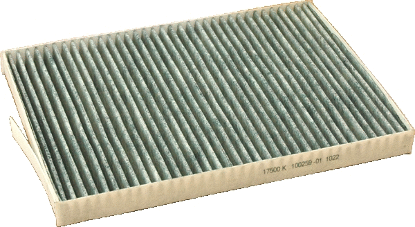 Filter, cabin air (17500K)