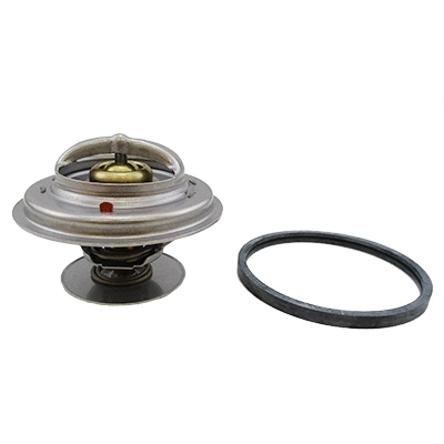 Thermostat, coolant (92253)