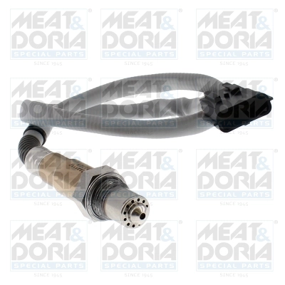 Lambda Sensor (811139)