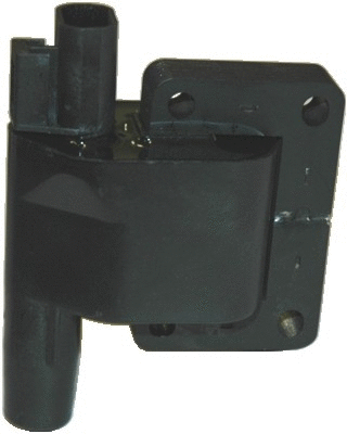 Ignition Coil (10423)