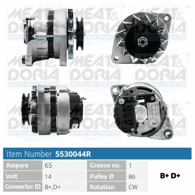 Alternator (5530044R)