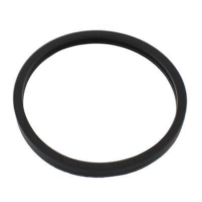 Seal, thermostat (01660)