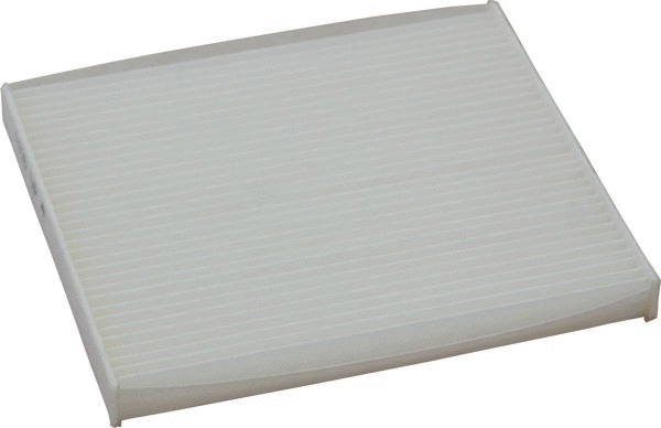Filter, cabin air (17505)
