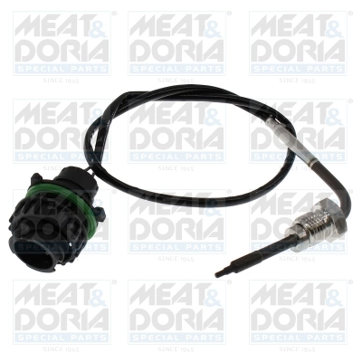 Sensor, exhaust gas temperature (12710)