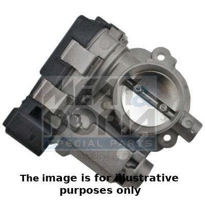 Throttle Body (89369R)