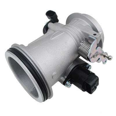 Throttle Body (89512)