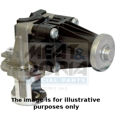 EGR Valve (88216R)