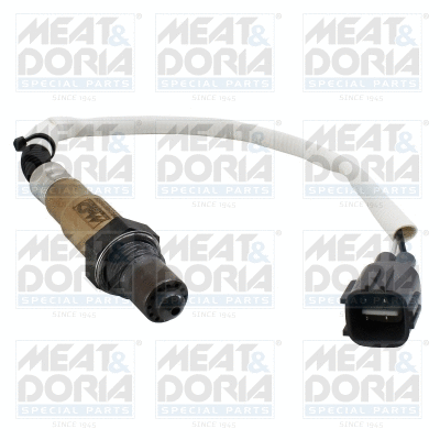 Lambda Sensor (811005E)
