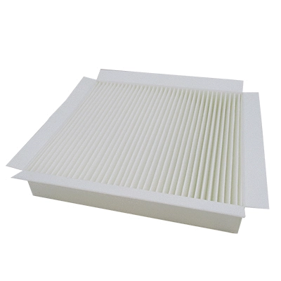 Filter, cabin air (17165F)
