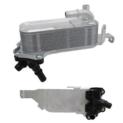 Oil Cooler, engine oil (95248)