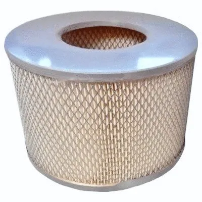 Air Filter (16520)