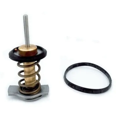 Thermostat, coolant (92840)