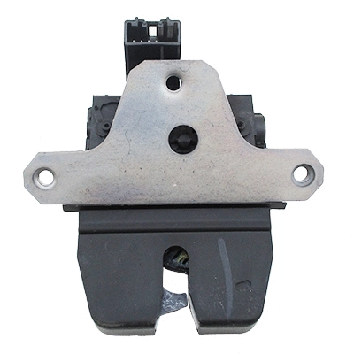 Tailgate Lock (31690)