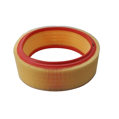 Air Filter (18219)