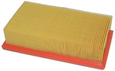 Air Filter (18273)