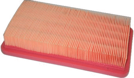 Air Filter (16277)