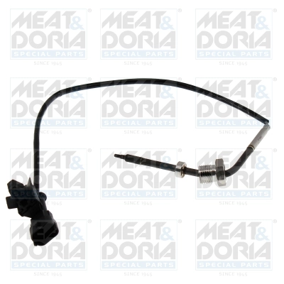 Sensor, exhaust gas temperature (12751)