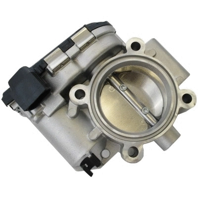 Throttle Body (89413)