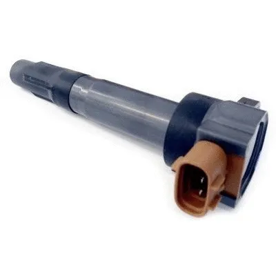 Ignition Coil (10760)