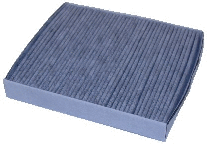 Filter, cabin air (17338K)