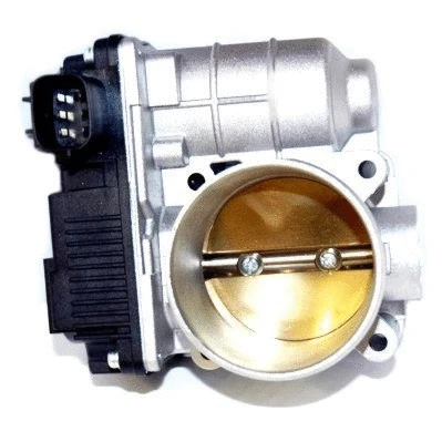 Throttle Body (89169)