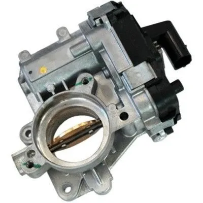Throttle Body (89106R)