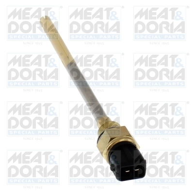 Sensor, engine oil level (72440)