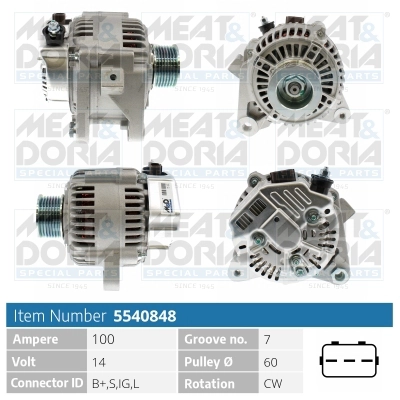 Alternator (5540848)