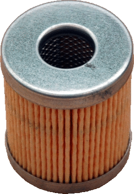 Fuel Filter (4886)