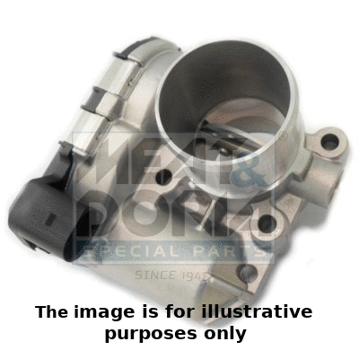 Throttle Body (89195R)