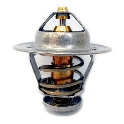 Thermostat, coolant (92628)