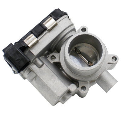 Throttle Body (89060E)