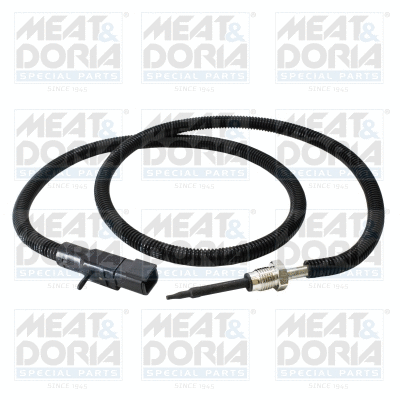 Sensor, exhaust gas temperature (12742)