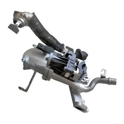 Cooler, exhaust gas recirculation (88251R)