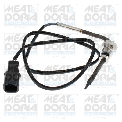 Sensor, exhaust gas temperature (12740)