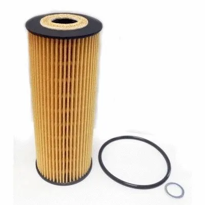 Oil Filter (14013)
