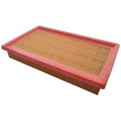 Air Filter (16029)