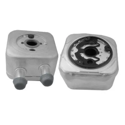 Oil Cooler, engine oil (95016)