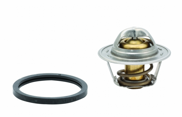 Thermostat, coolant (92297)