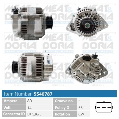 Alternator (5540787)