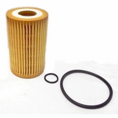 Oil Filter (14029)