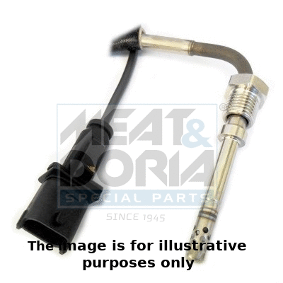 Sensor, exhaust gas temperature (12074E)