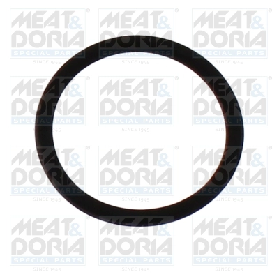 Rubber Ring (98813)