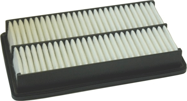 Air Filter (18163)
