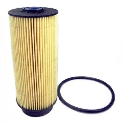 Fuel Filter (5081)