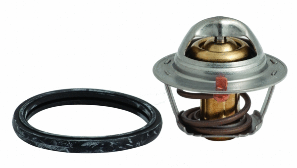 Thermostat, coolant (92288)