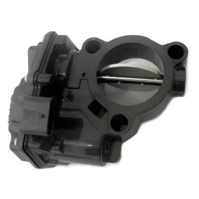 Throttle Body (89271)