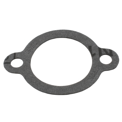 Seal, thermostat (016106)