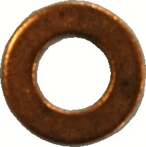 Seal Ring, nozzle holder (9168)