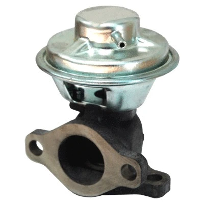 EGR Valve (88135)